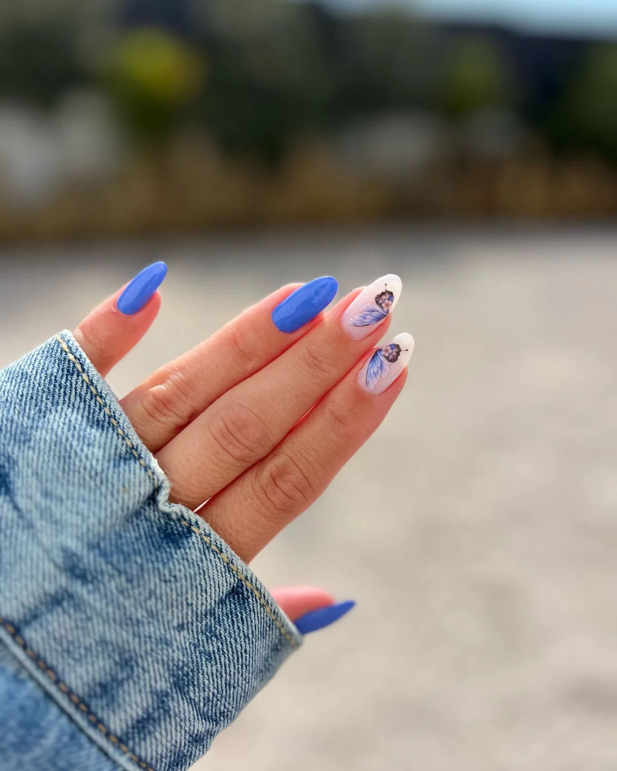 Cobalt Blue Solids with Butterfly Accent Nails