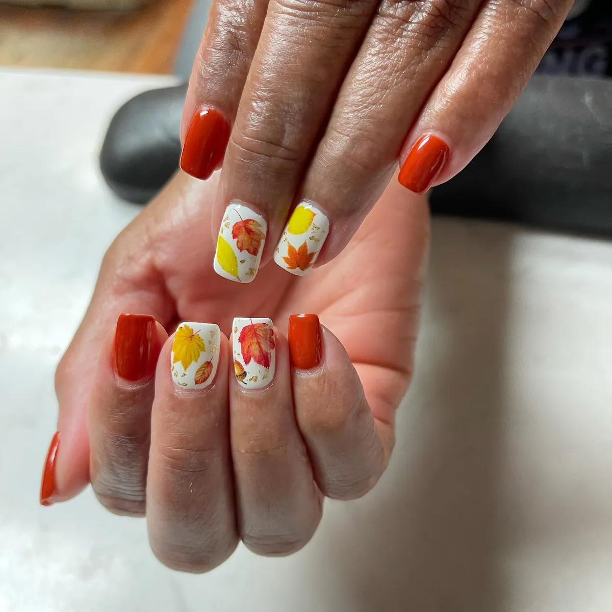 Rust solids with leaf-print accents on white