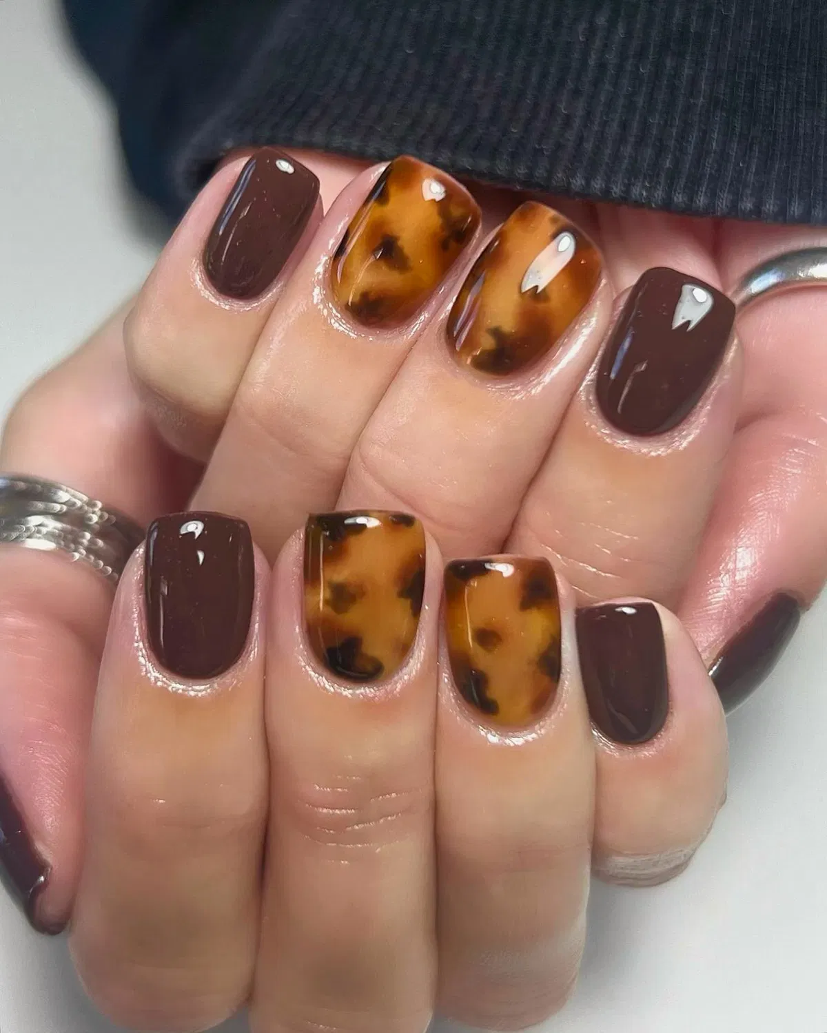 Dark brown solids with amber mottled accents