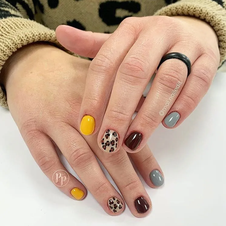 Mustard, chocolate brown, and gray with spotted accents