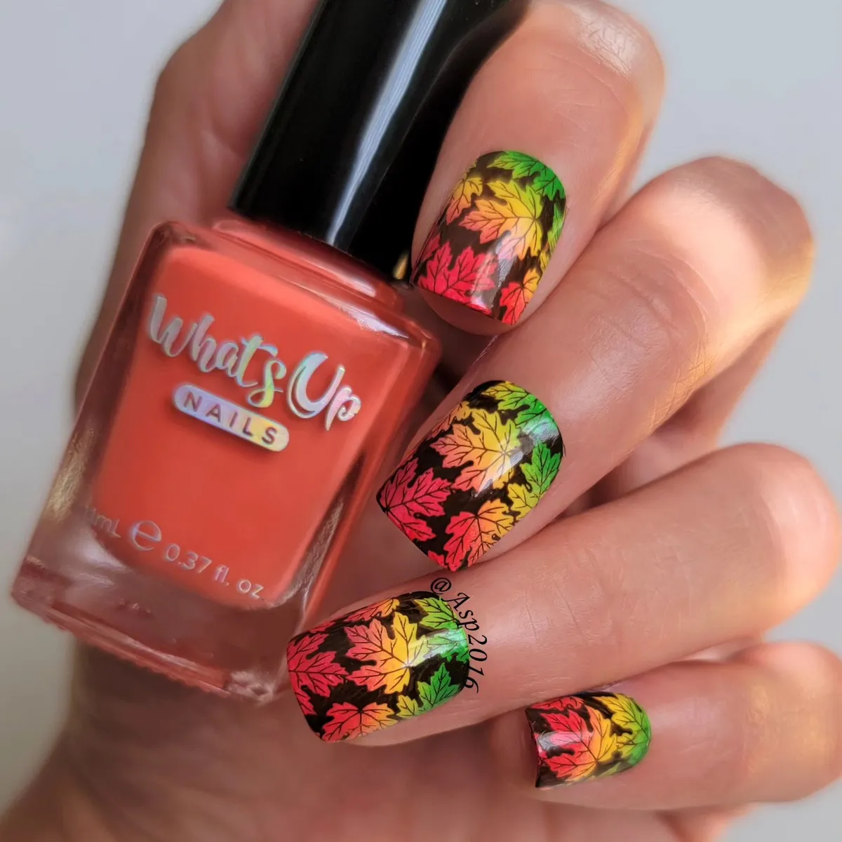 Black base with multicolor leaf silhouettes (bottle shown)