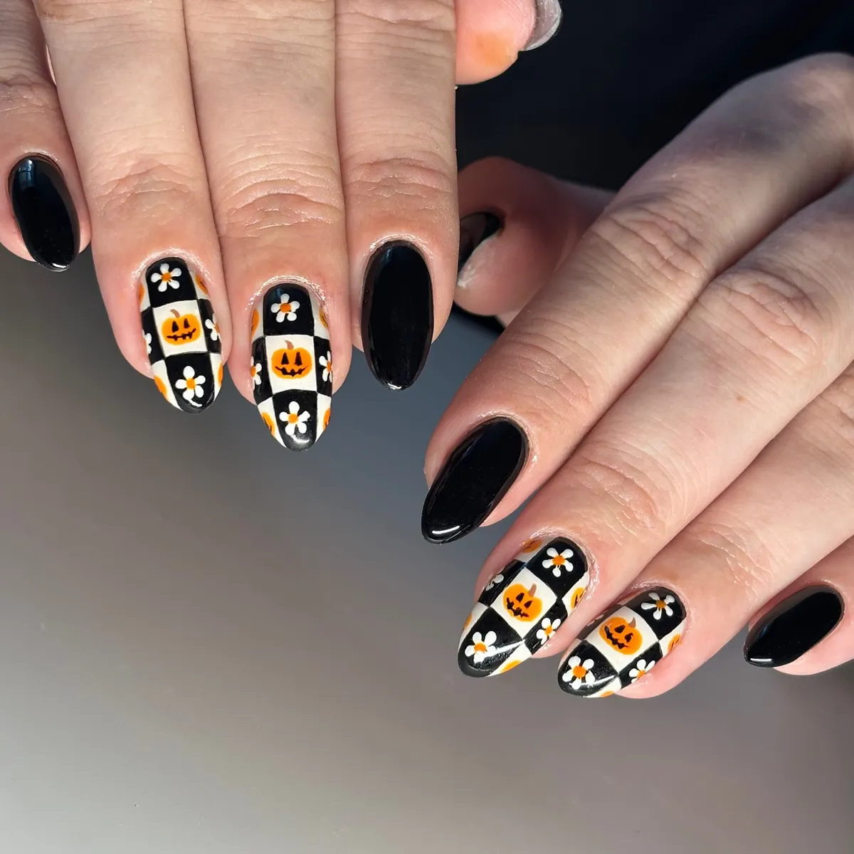 Black solids with checkerboard pumpkins and daisy accents