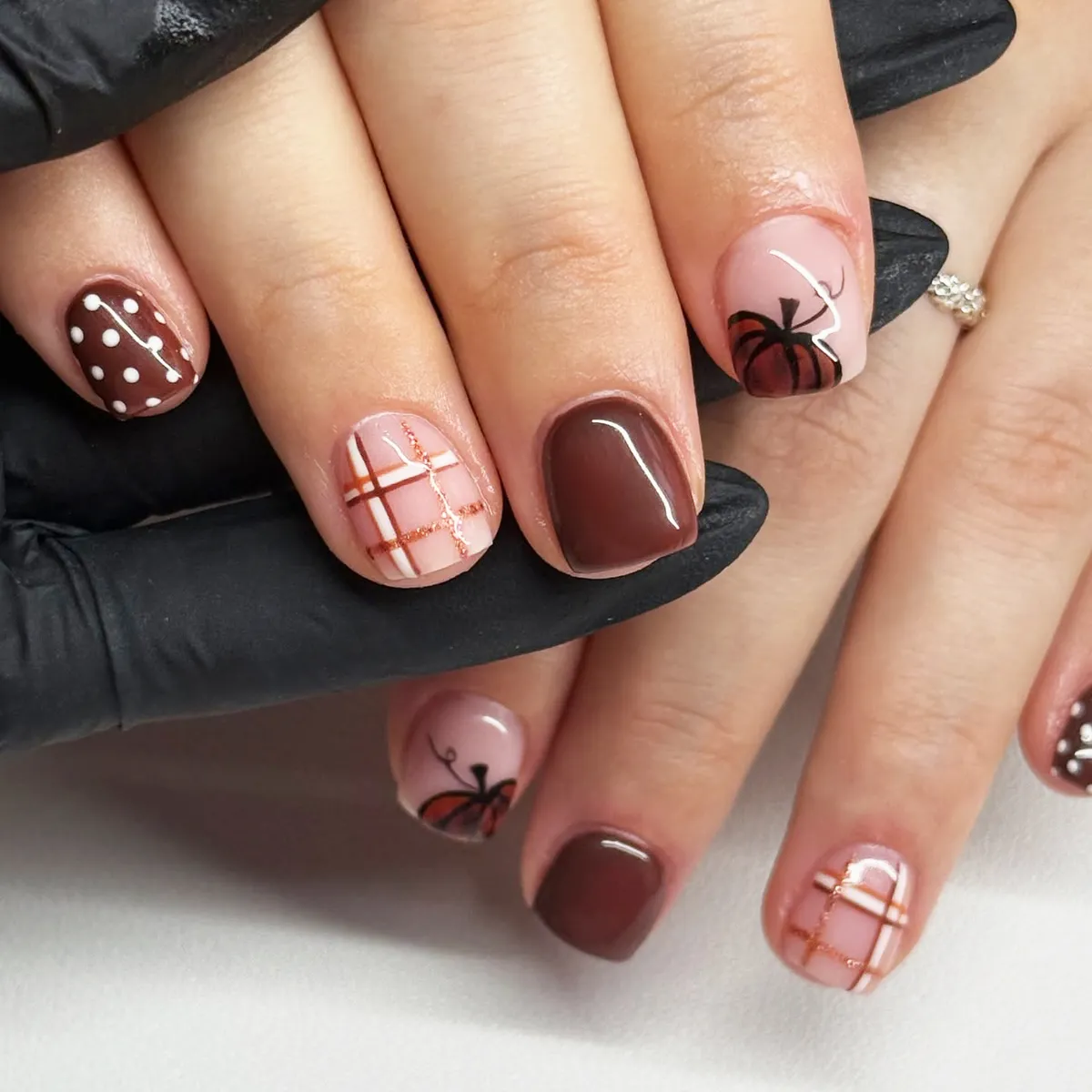 Chocolate brown mix with polka dots, plaid, and pumpkin art