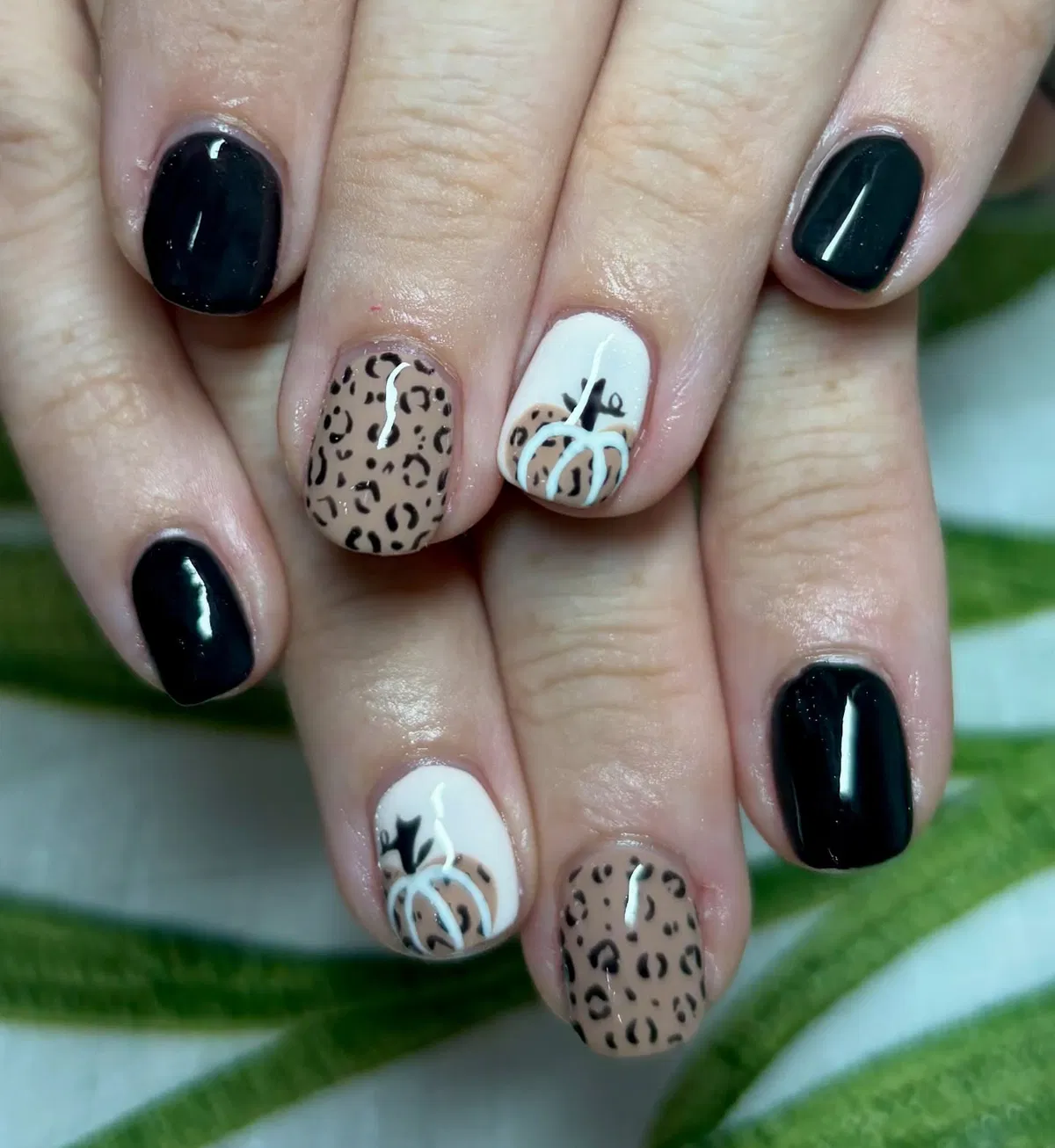 Black, leopard print, and white pumpkin accent nails