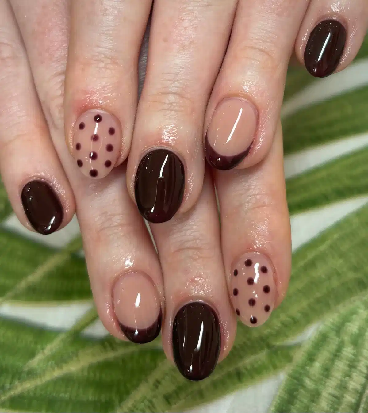 Short dark-brown French tips with polka-dot accents