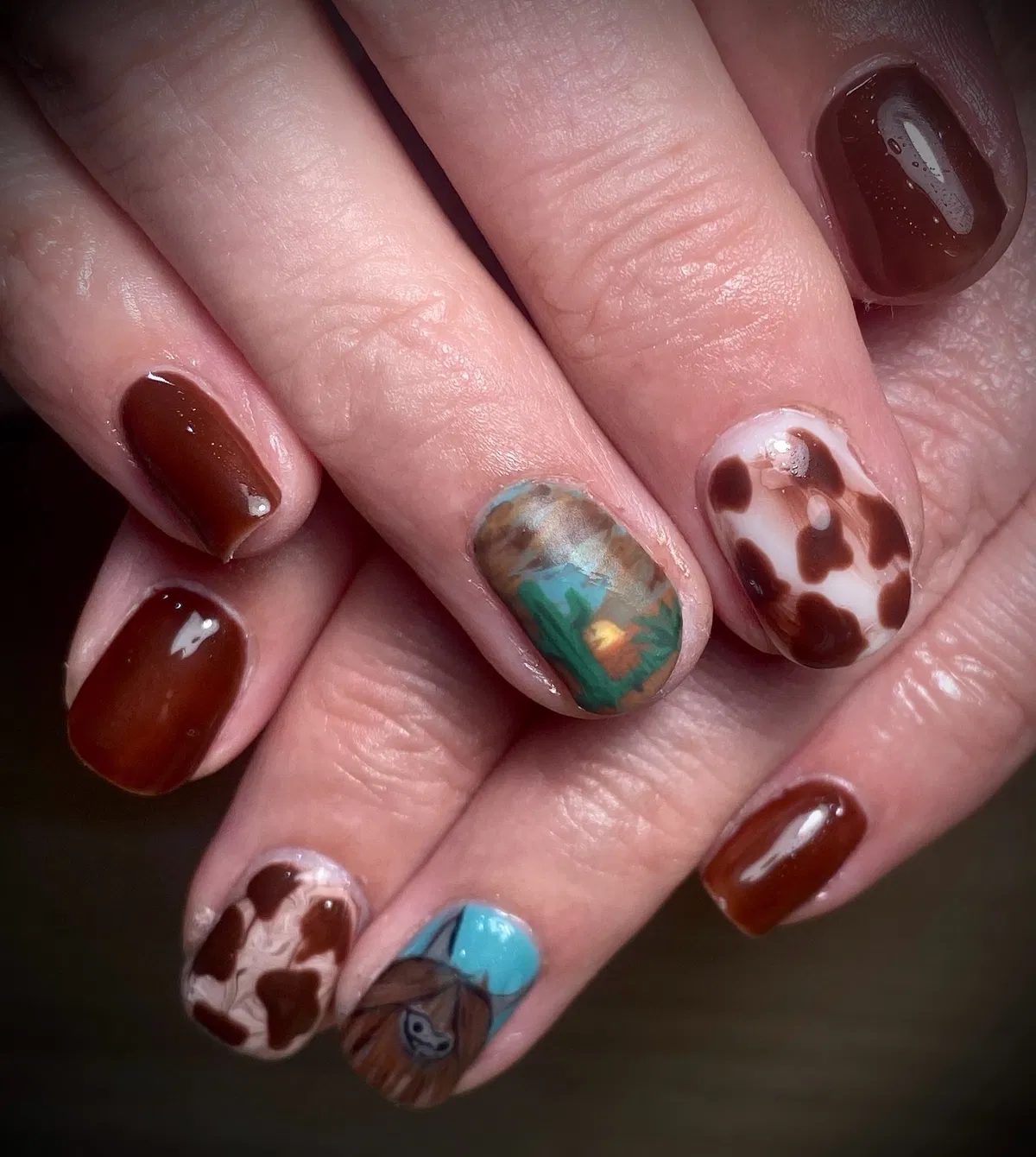 Glossy browns with marbled accent and irregular patch pattern