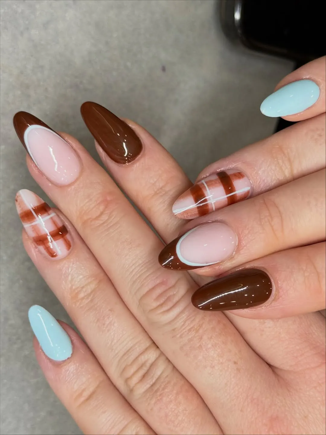 Chocolate brown with pale pink/blue outlines and plaid accents