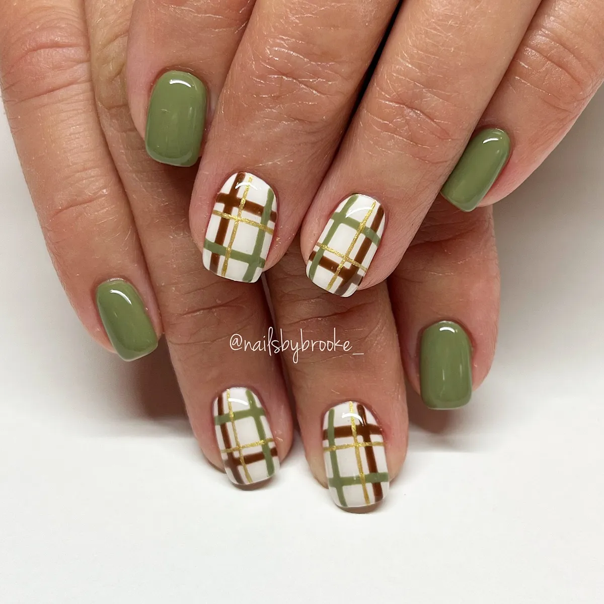 Olive and white plaid with gold striping