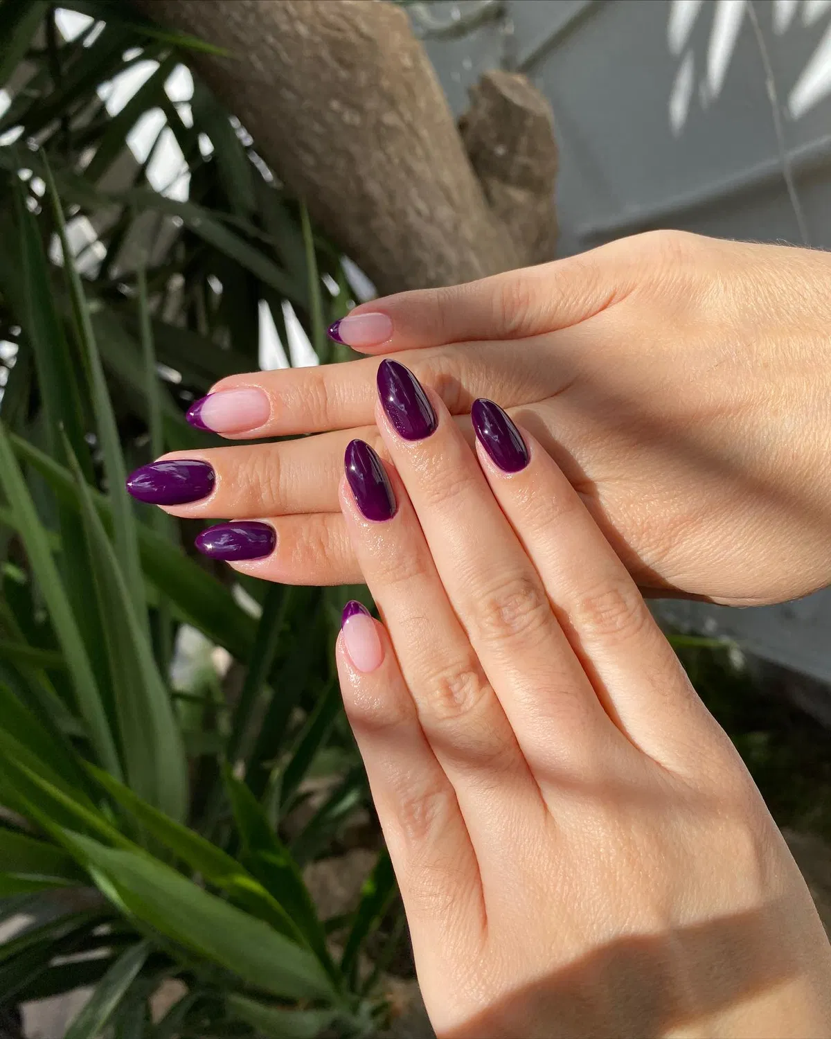 Glossy deep purple mix: solid color and French tips