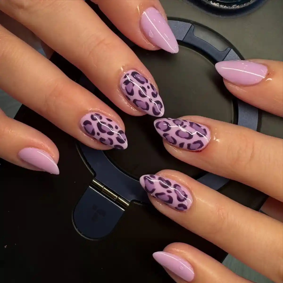 Lavender Solids with Leopard-Spot Accents